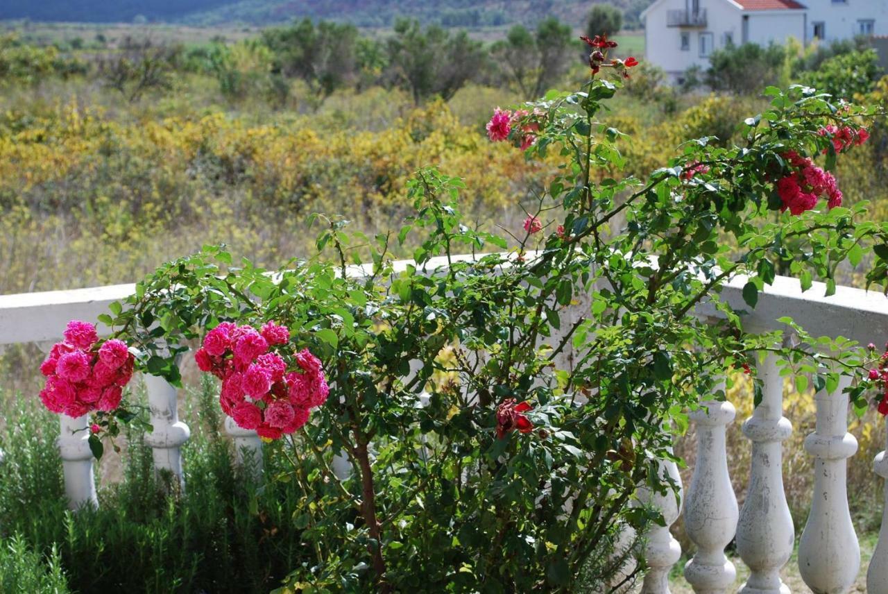 Villa Sabina - Apartments Kroatien Ražanac Buitenkant foto